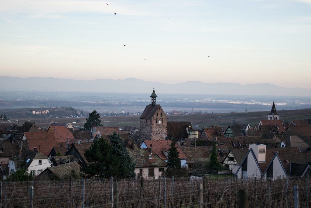 Village de Riquewihr et ses maisons à colombages au milieu du vignoble alsacien