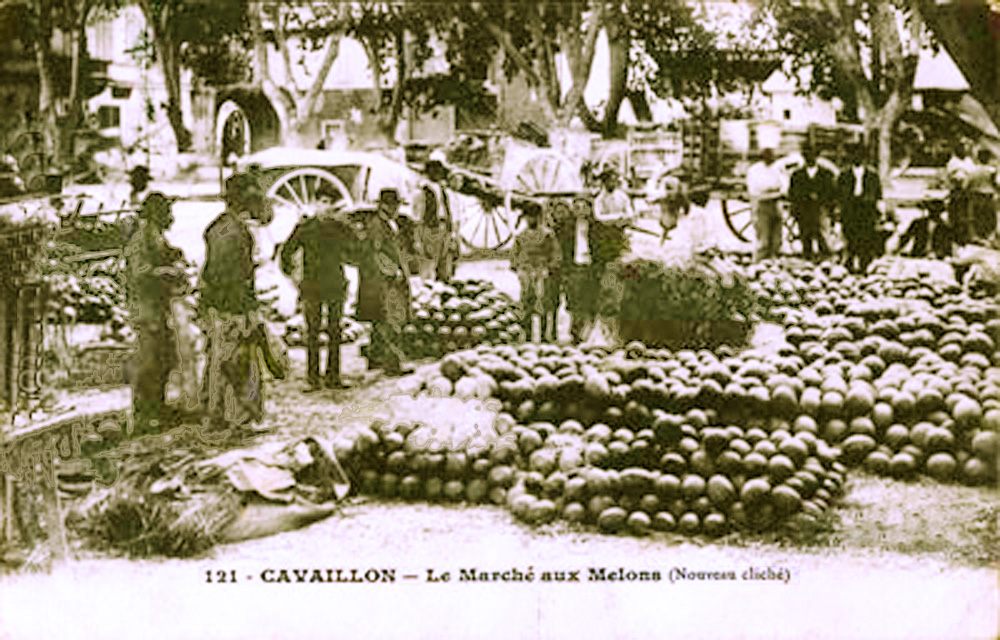 Marché aux melons de Cavaillon au début du XXe siècle