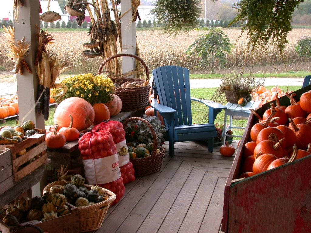 Étal de ferme garni de courges et de potirons à l'automne