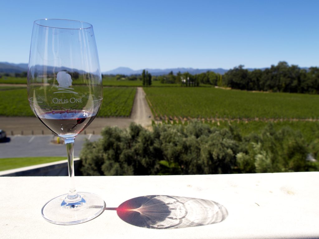 Verre de vin rouge de Bordeaux devant un vignoble