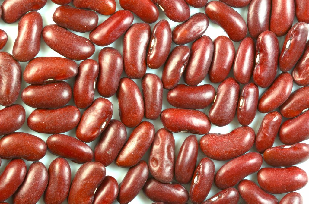 Haricots rouges secs pour le chili con carne