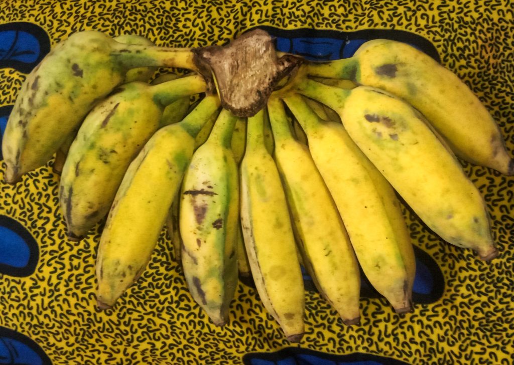 Régime de bananes bien mûres présentées sur un étal de marché