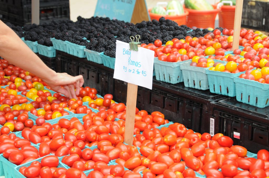 Tomates Roma allongées à chair dense, idéales pour préparer une sauce tomate maison