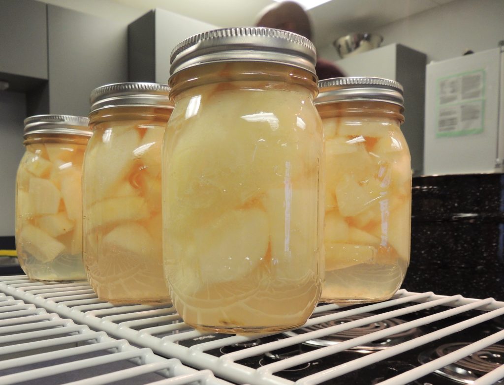 Bocaux de fruits stérilisés alignés pour la conservation de la compote