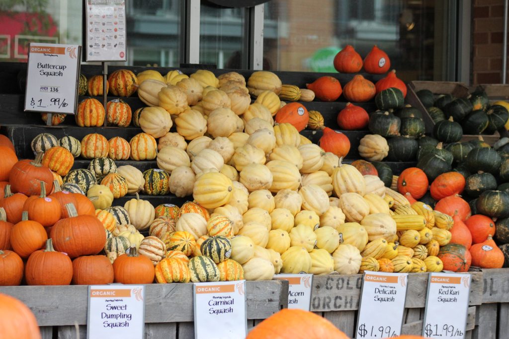 Étal de courges d’automne : potimarrons, butternuts et potirons